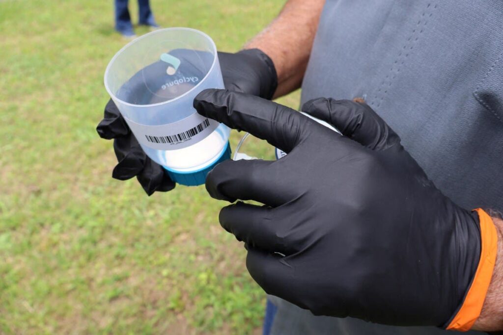 Unity in the Face of Environmental Challenges