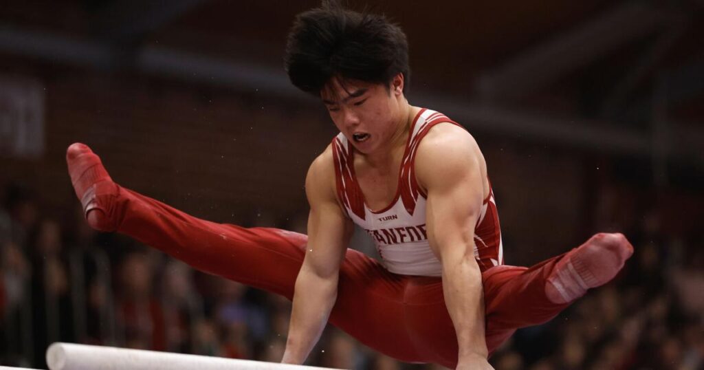 California Stanford Gymnastics | National Sports Reimagined