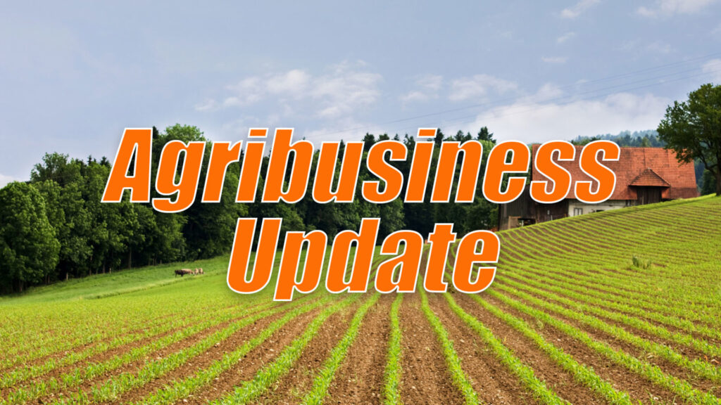 California Storms: A Dual Impact of Snow Relief and Farm