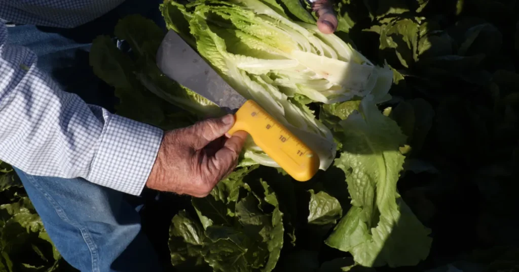 California’s Economy Thrives in Agriculture and Natural Resources California's Economy Thrives in Agriculture and Natural Resources