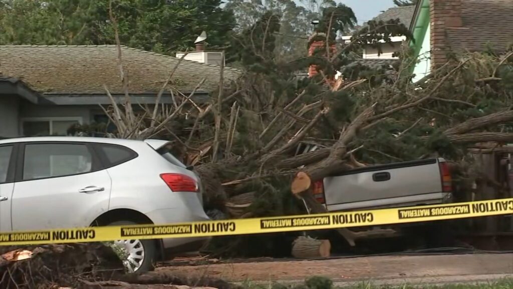 Christmas Storm Hits San Francisco Bay Area Causing Disruptions