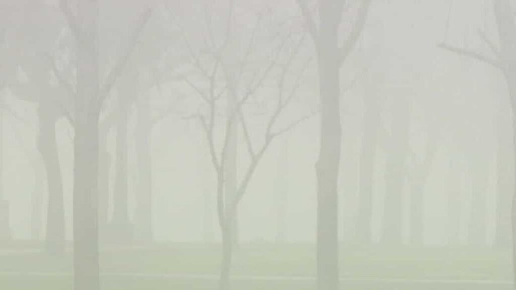 Discover This Weekend's Air Quality in Northern California