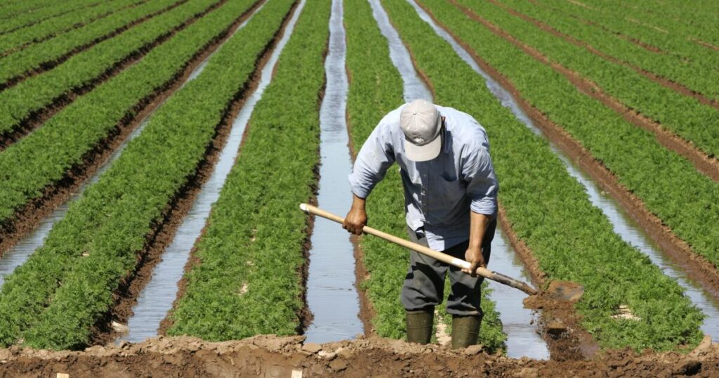 Southern California's Farming Regions Face Growing Dangers for Workers