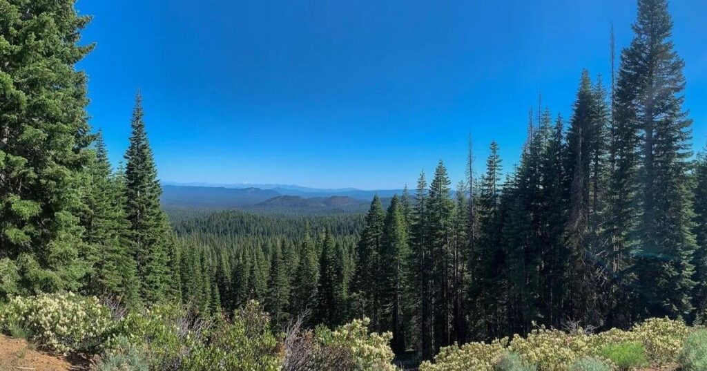 Threatened Treasures: The Battle for California's National Monument و