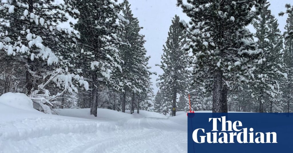Avalanche Dangers in California Mountains Claim Skiers' Lives