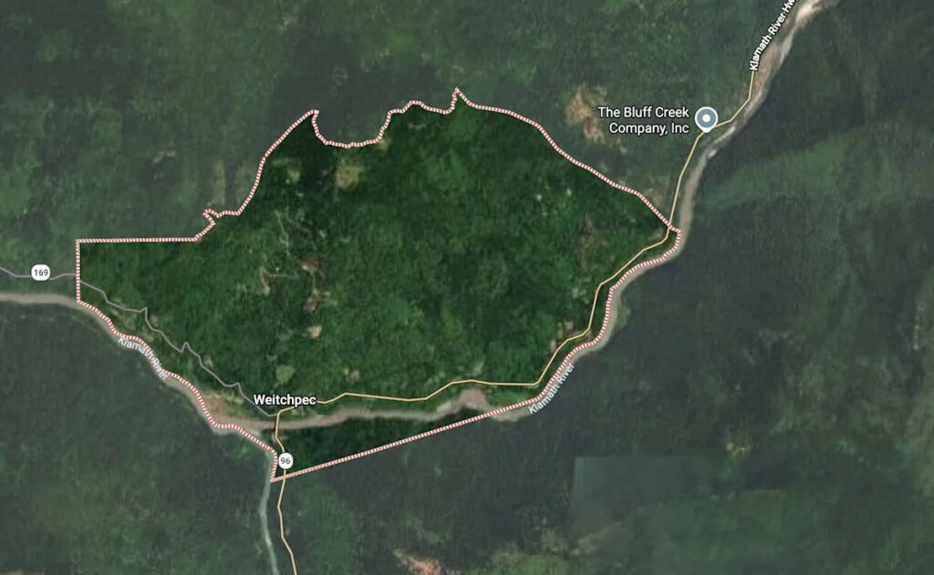 California Mental Health Advocate Loses Life to Domestic Violence