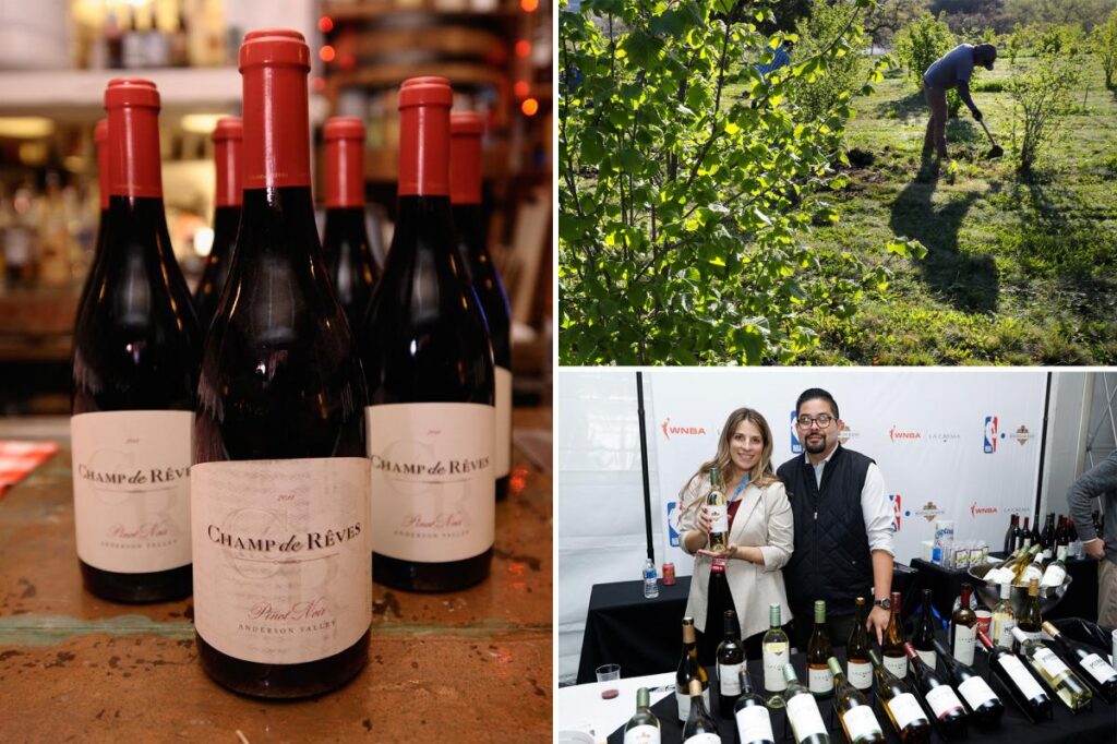 California Wine Giant Closes Doors Amid Napa Valley Turmoil