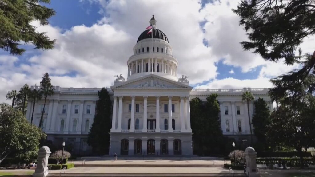 California's Gubernatorial Race: Who's in the Running?