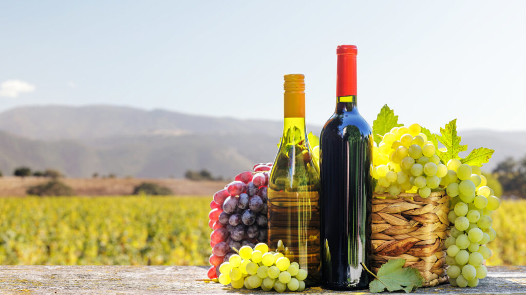 Discover a Charming Family Vineyard in California's Hidden Wine Treasure