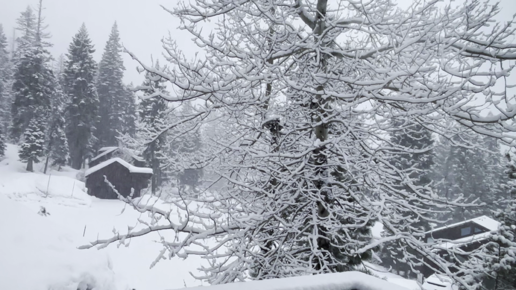 Northern California Weather Update: Rain and Snow Timeline