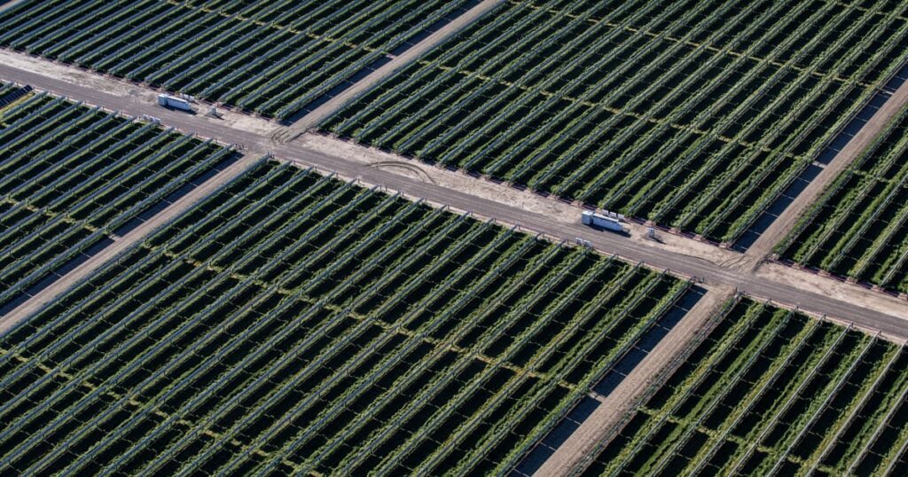 US Solar Storage Project Breaks Ground in a Major Way