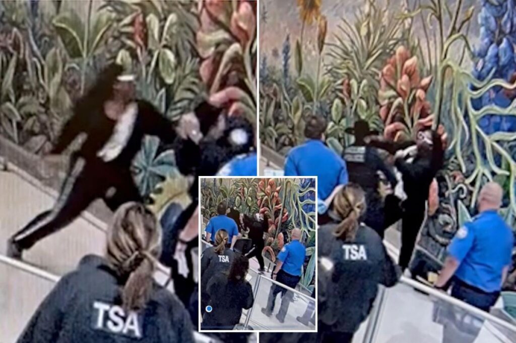 California Man Faces Charges for Airport Assault on TSA and