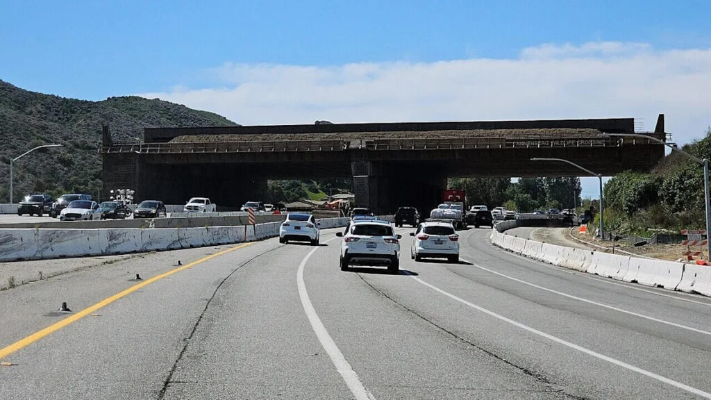 California is Investing $114M in a Non Drivable Bridge