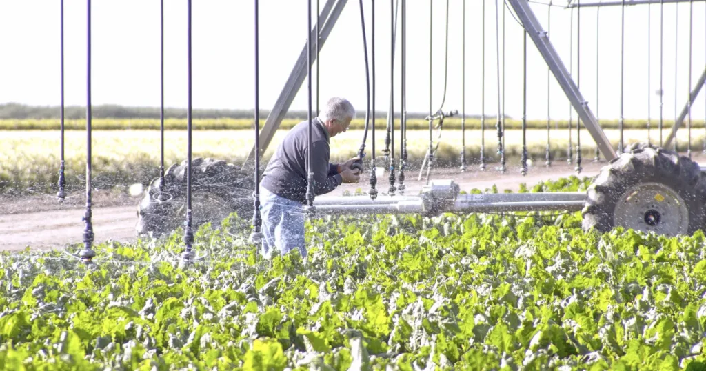 California's Path to Agricultural Innovation: The New Research Roadmap