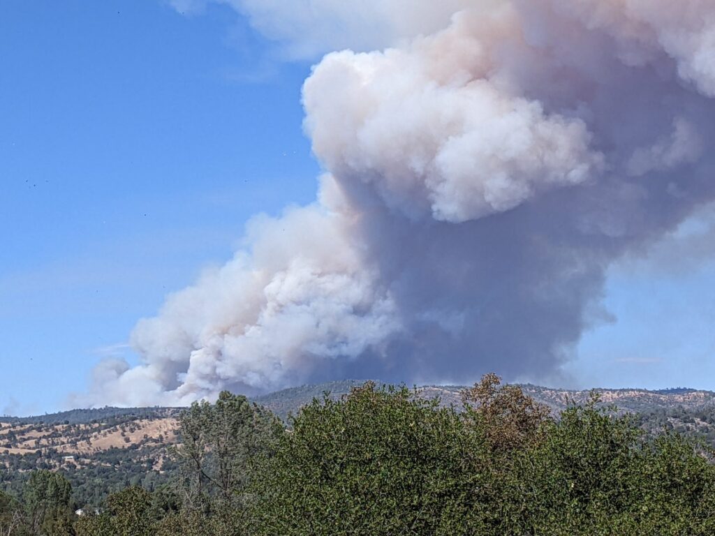 California's State of Emergency: Effects on Regional Impact