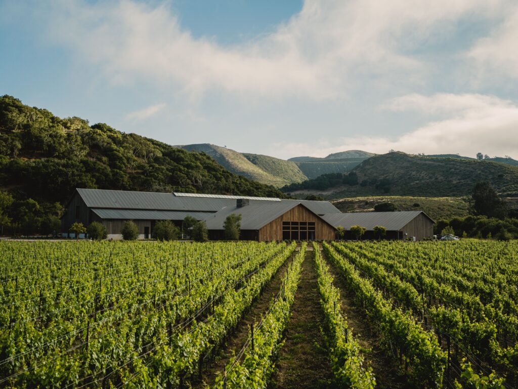Discover the Uniqueness of Santa Ynez Valley: California's Hidden Gem
