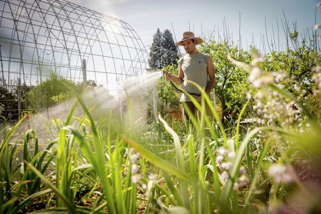 Historic Heat Wave: Unfolding the Western U.S. Experience Through Maps