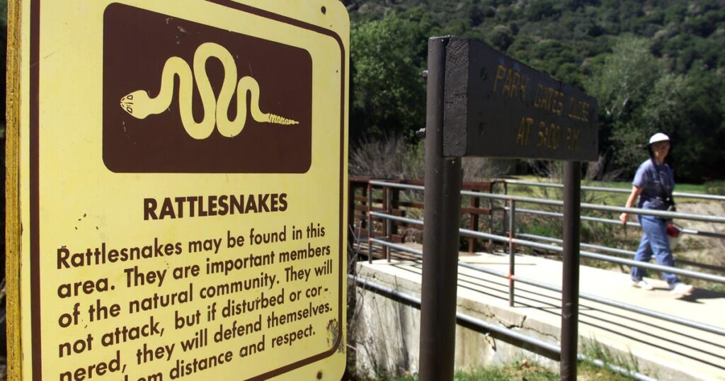 Rattlesnake Season Kicks Off Early in Southern California’s Warm Weather