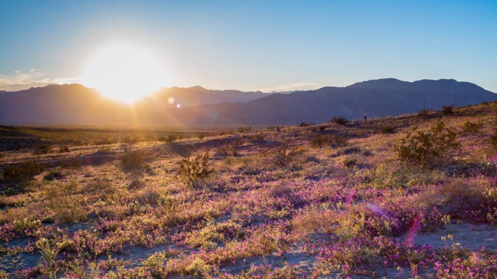 San Diego County Landmarks Compete for Best California State Parks