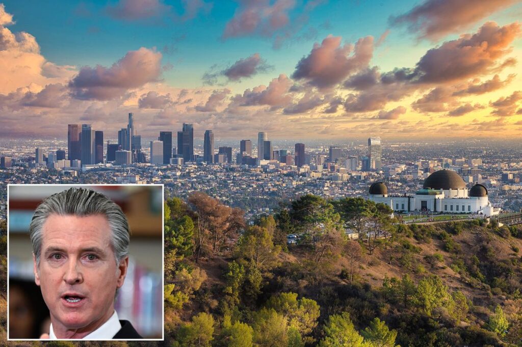 Transforming California: Lessons from Florida's Policies