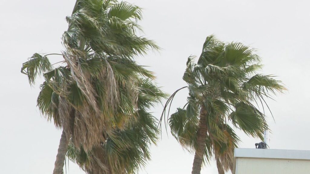 Windy Weekend Ahead for Central California