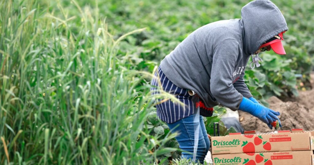 California Bill Seeks to Ban Toxic Forever Chemicals in Agriculture