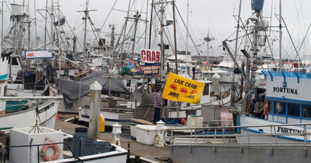 California Launches Innovative Crabbing Tech to Safeguard Whales California Launches Innovative Crabbing Tech to Safeguard Whales