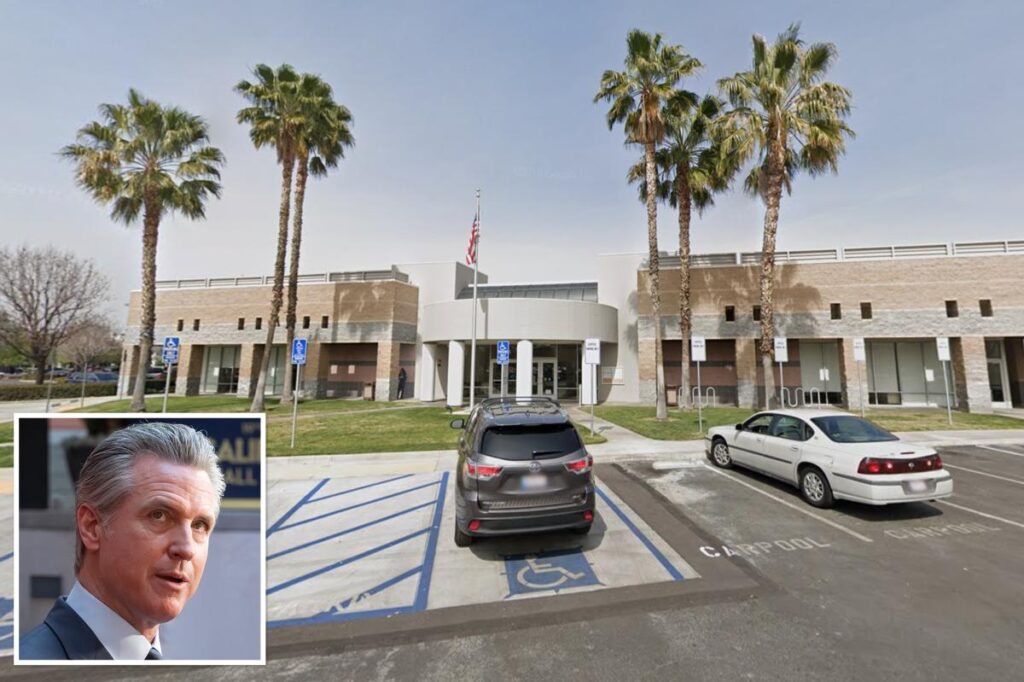 Californian Program Fleeced by Scammers: Billions in Losses