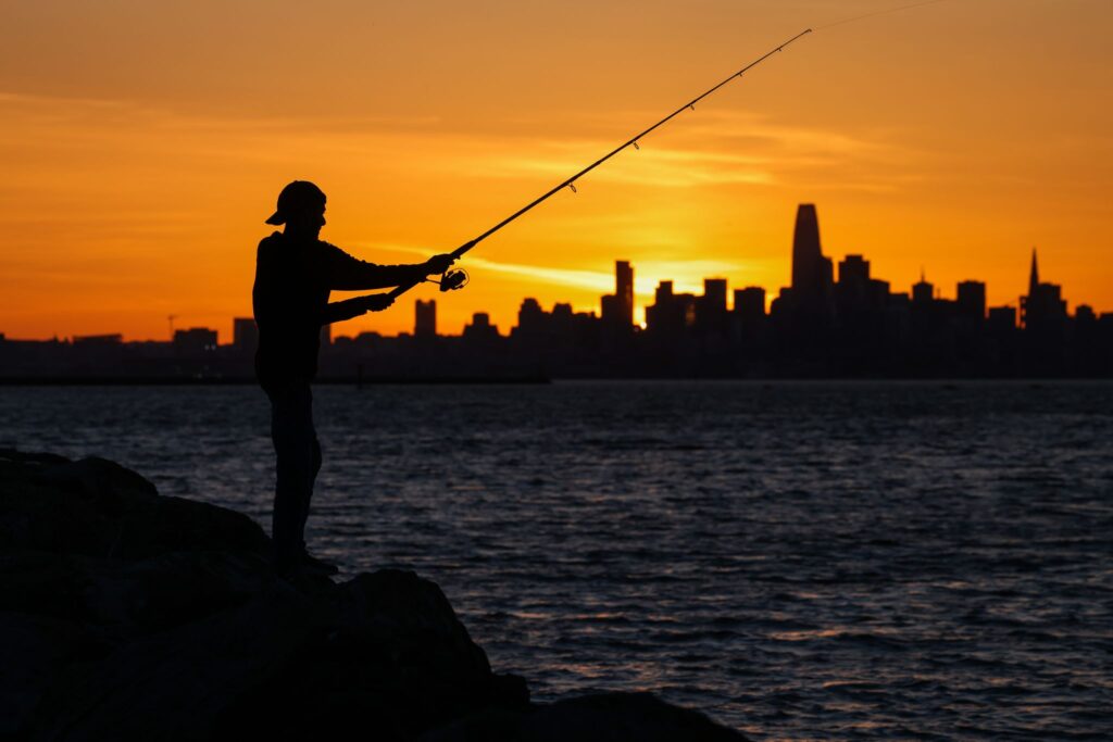 California's Ocean Heat Wave: Key Impacts Explained