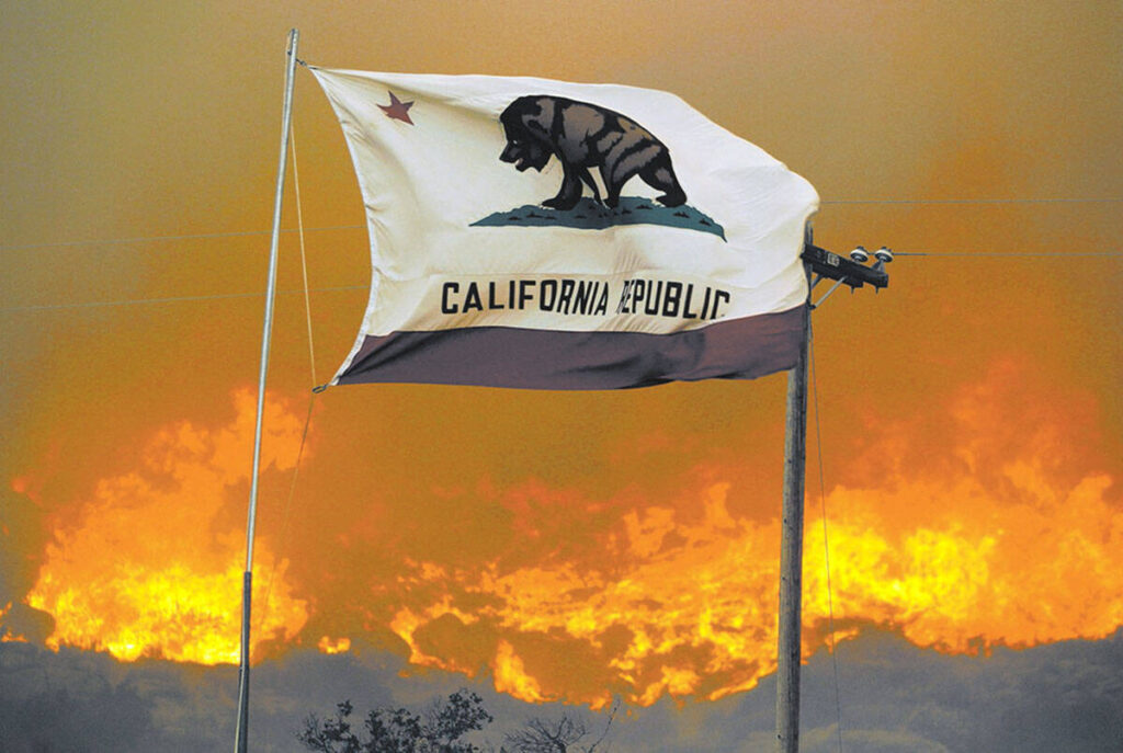 California's Policies and Their Real World Impact