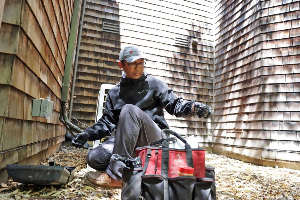 California's Rat Crisis: A Perfect Storm of Challenges