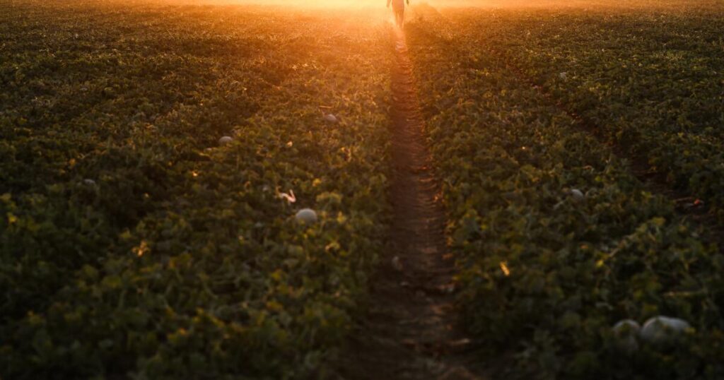 Concerns Over Forever Chemicals in California Agriculture