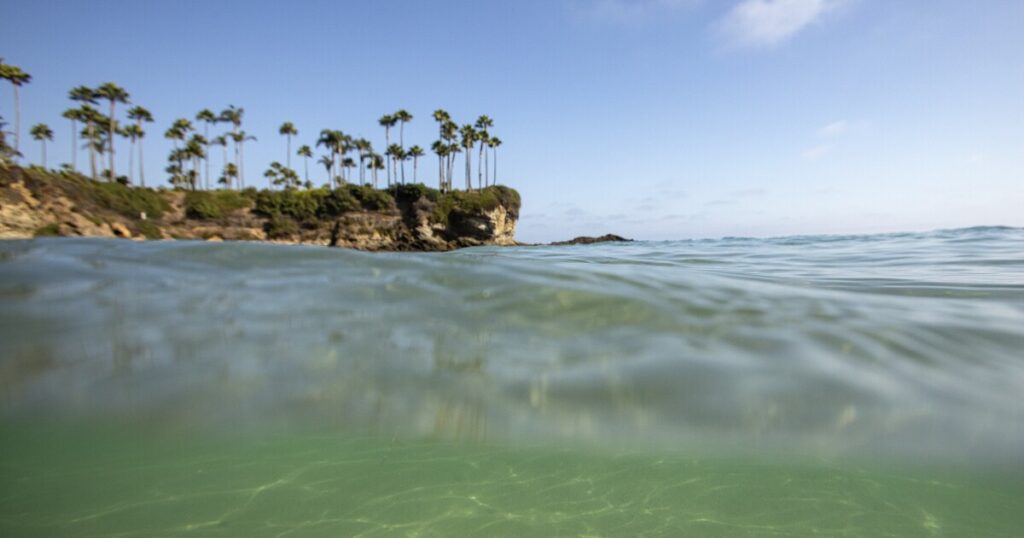 Expanding Horizons: The Future of California's Marine Protected Areas