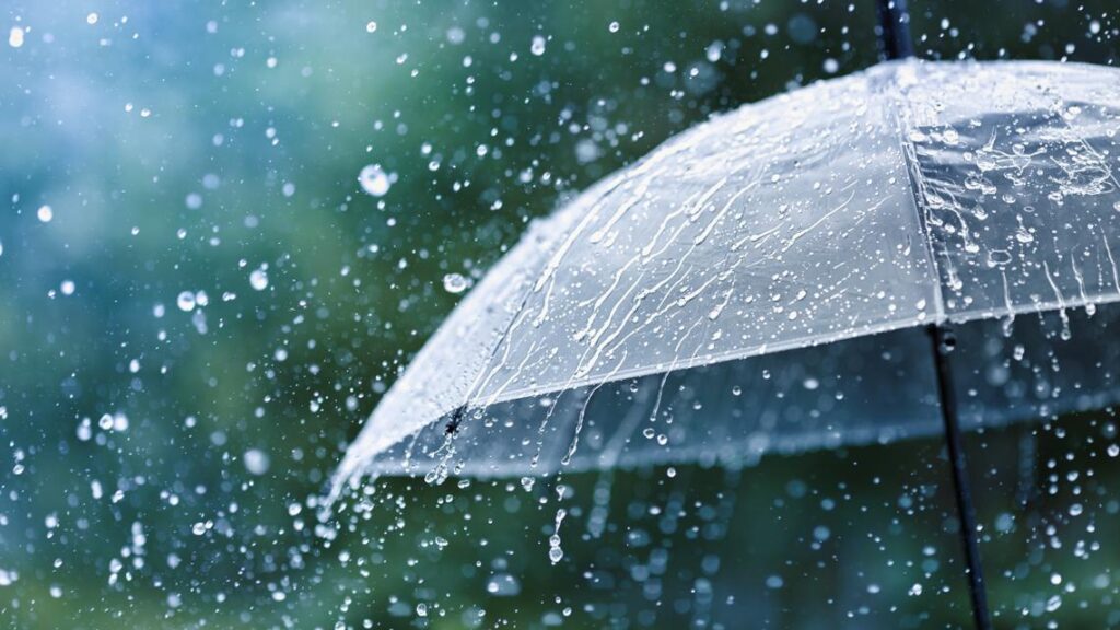 Late Season Weather Shake Up: Rain, Snow, and Thunderstorms Hit Northern California