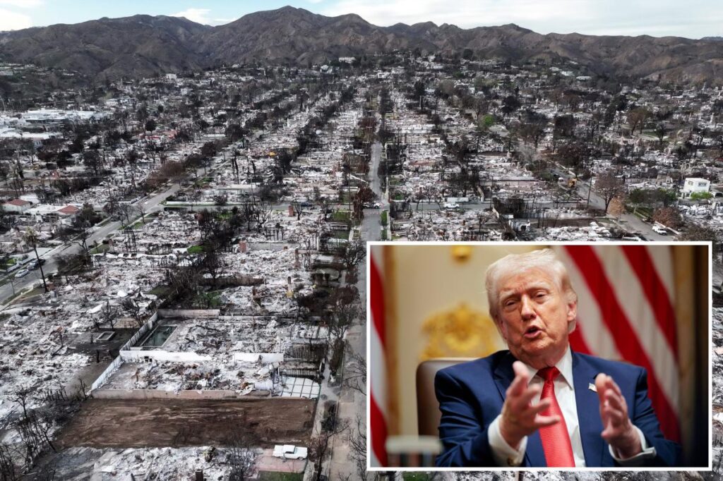 Trump Takes on California's Insurance Giants Over Wildfire Payouts and